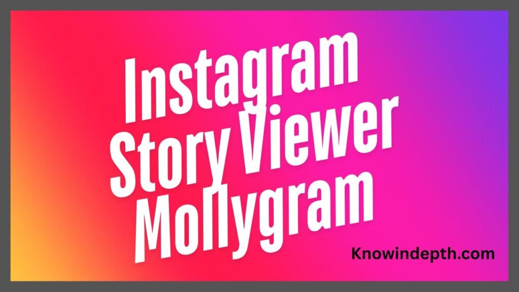 Instagram Story Viewer Mollygram Review: Benefits, Limits, and Privacy instagram story viewer mollygram review